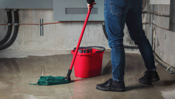 Best Flood restoration services  in Rehoboth Beach, DE