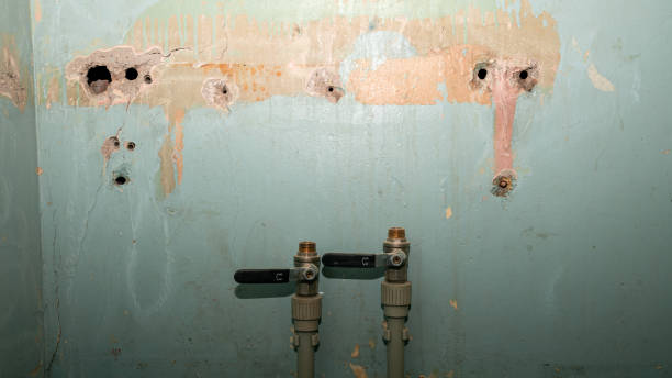 Best Residential water damage restoration  in Rehoboth Beach, DE